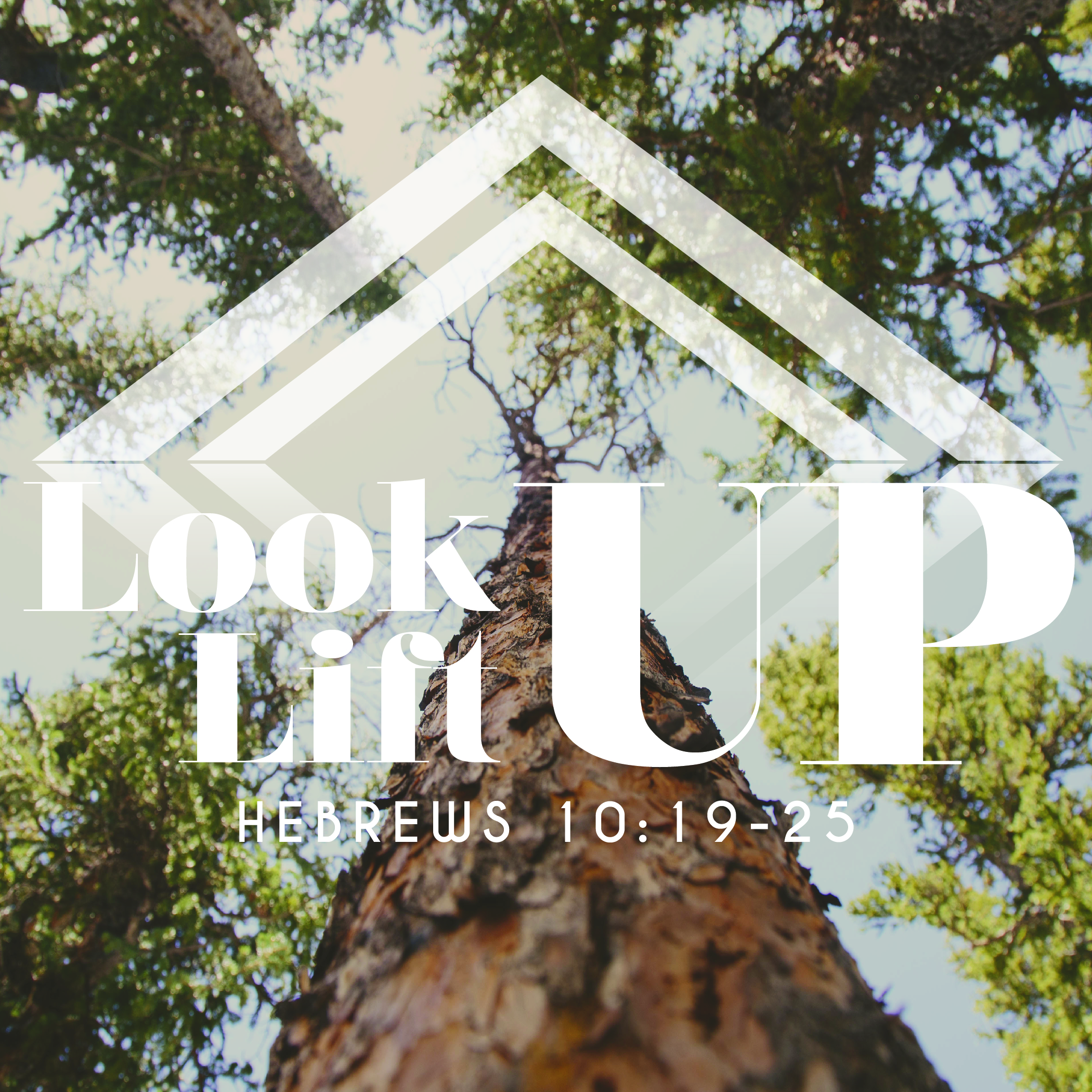 Look Up, Lift Up